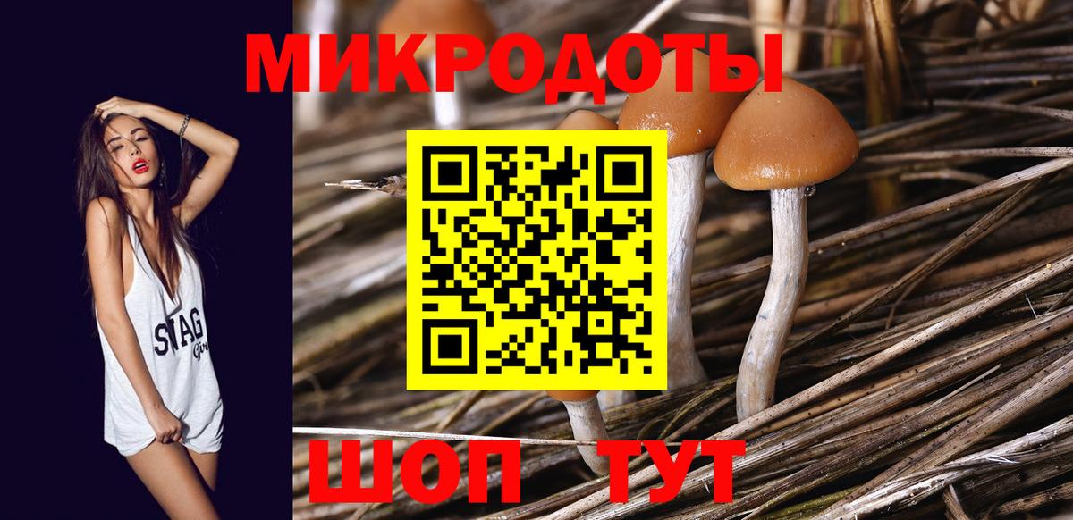 Галлюциногенные грибы MAGIC MUSHROOMS  Вход с VPN  Дальнегорск 